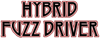 Hybrid Fuzz Driver